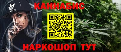гашик Будённовск