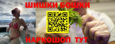 гашик Будённовск