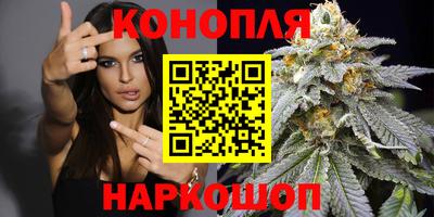 гашик Будённовск