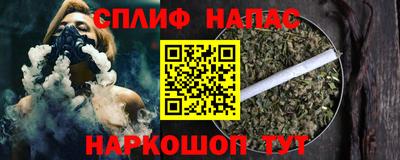 гашик Будённовск